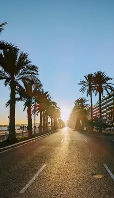 an empty street with palm trees on a beach at PANORAMIC SEA VIEW with PRIVATE PARKING and AC in Nice
