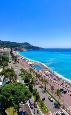 an aerial view of a beach with palm trees and the ocean at DeLuxe Studio Cosy, Promenade des Anglais, NICE CENTRE in Nice