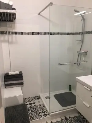 a shower with a glass door in a bathroom at 3 pièces 10 min de la mer et du tram in Nice