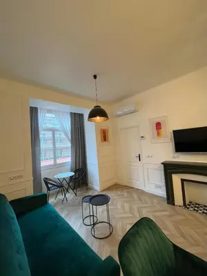 a living room with a green couch and a fireplace at Appartement au centre calme in Nice