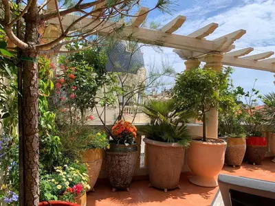 a patio with potted plants and a pergola at Design et Art in Nice
