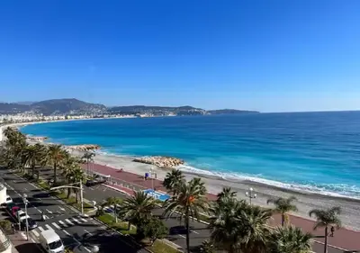 a view of a beach with palm trees and the ocean at Nid Douillet au Cœur de Nice avec terrasse et clim in Nice