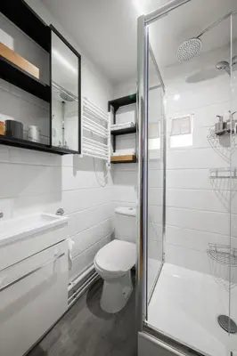 a white bathroom with a toilet and a shower at Les Palmiers, quiet and air-conditioned in Nice
