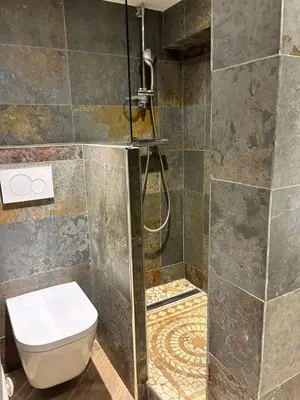 a bathroom with a toilet and a shower at Magnifique 2P Vieux Nice AC-WIFI in Nice