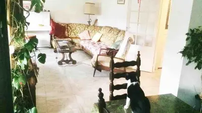 a cat standing in a living room with a couch at Shared Appartment with Kitten in Nice