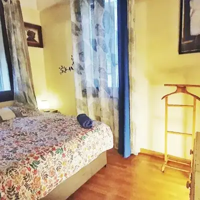 Shared Appartment with Kitten