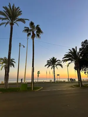 an empty street with palm trees on the beach at Appartement Neuf Nice Carré Or à 2 pas de la mer tout équipé in Nice