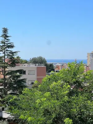 a group of trees in front of a building at Sea view appartment in Nice