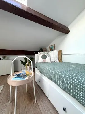 a bedroom with a white dresser and a plant at LE PETIT NID sous le toit in Nice