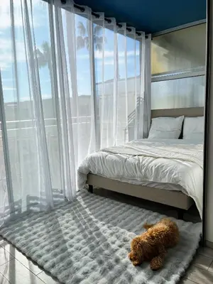 a dog laying on a rug next to a bed at Holidays 80 in Saint-Laurent-du-Var
