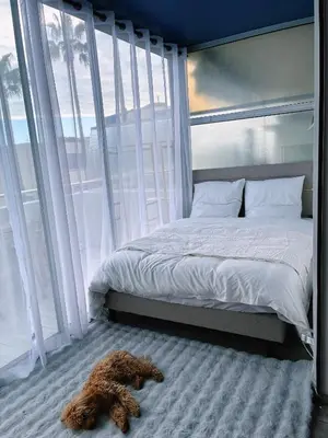 a dog laying on the floor next to a bed at Holidays 80 in Saint-Laurent-du-Var
