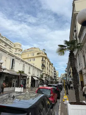 a city street with parked cars and a palm tree at La Rotonde Art,elegance & romantisme au Coeur de Nice, à 2 pas du Negresco in Nice