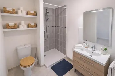 a bathroom with a shower and a toilet and a sink at Le Valrose - Calme & Terrasse in Nice