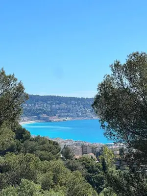 a view of the ocean from a hill with trees at La Vigie in Nice