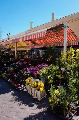 a store filled with lots of different types of flowers at La Verrière du Vieux Nice in Nice