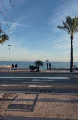 an empty street with a palm tree and the ocean at T4 Front de mer Piscine interieure privee Clim in Cagnes-sur-Mer