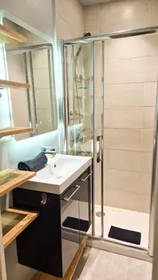 a bathroom with a shower and a white sink at Joli T3 moderne avec terrasse & climatisation in Nice