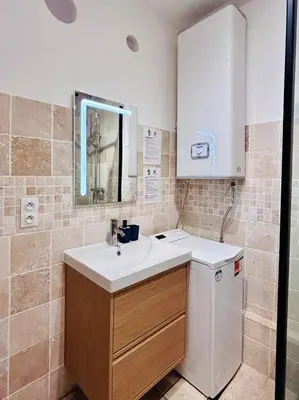 a bathroom with a sink and a washer at Old Town Immersion-Breakfast-Central-Self Check-in in Nice