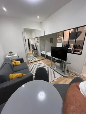 a living room with a couch and a tv at Appartement vieux Nice in Nice