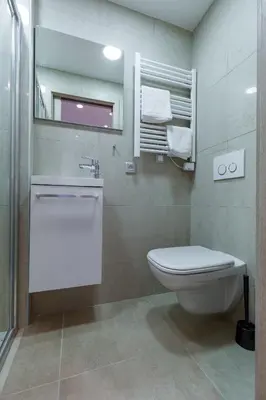 a bathroom with a toilet and a sink and a mirror at Palais Saint Pierre in Cagnes-sur-Mer
