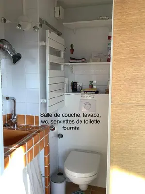 a small bathroom with a toilet and a sink at Les Grimaldines - Maison d'Hôtes in Cagnes-sur-Mer