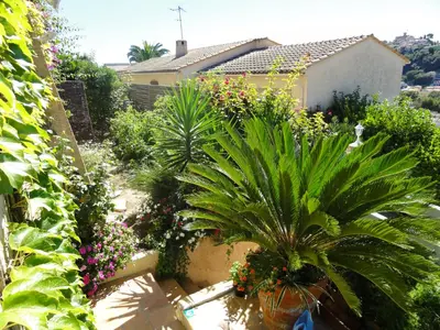 a garden with plants and flowers in front of a house at Villa les grimaldines côte d Azur in Cagnes-sur-Mer