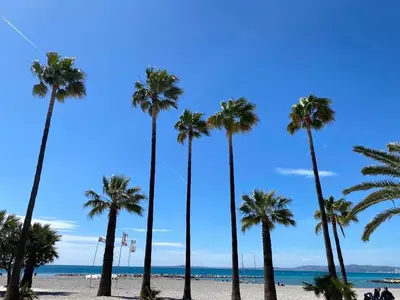 a group of palm trees on the beach at Appartement sur la Plage, Le Royal Beach in Saint-Laurent-du-Var