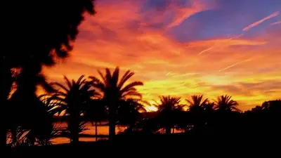 a sunset with palm trees in the foreground at Appartement sur la Plage, Le Royal Beach in Saint-Laurent-du-Var