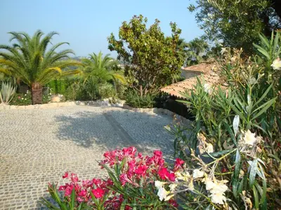a garden with pink flowers and palm trees at La Bergerie B&B in Vence