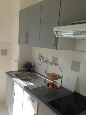a kitchen with a sink and a bowl of fruit at Studio équipé à 9mn à pied du centre ville et de la plage in Nice