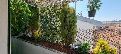 a garden on the side of a building at R.D.V. Duplex Nice Center in Nice