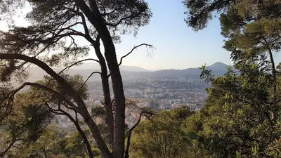 a view of a city from behind a tree at R.D.V. Duplex Nice Center in Nice