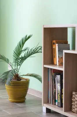 a plant in a yellow pot sitting next to two book shelves at Cosy apartment Promenade des Anglais in Nice