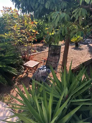 a chair sitting in the middle of a garden at La Nectarine in Nice