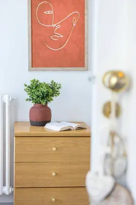 a plant sitting on top of a dresser with a painting at MY CASA - BUFFA 21 - 2min from the Sea - Terrace in Nice