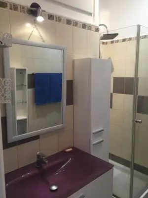 a bathroom with a purple sink and a mirror at Le Palais Martine in Nice