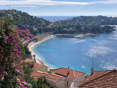 a view of a beach and water with pink flowers at Studio Leopolda in Villefranche-sur-Mer