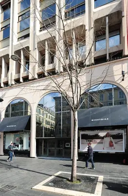 a building with a tree in front of a building at Nice Étoile Grand Suite Five stars Holiday House in Nice