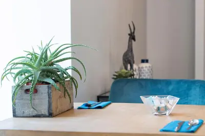 a table with a potted plant on top of it at Hôtel Relais Acropolis in Nice