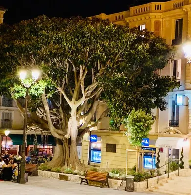 a large tree in the middle of a street at night at Hotel Select in Beaulieu-sur-Mer