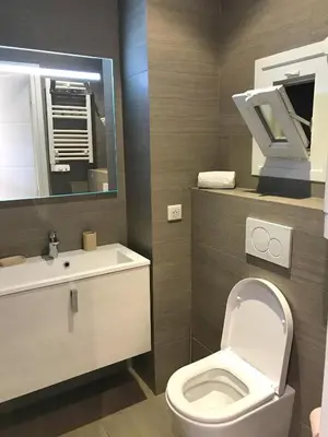 a bathroom with a toilet and a sink and a mirror at Dreamplace in Nice
