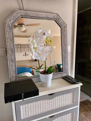 a mirror on top of a dresser with a plant at Luxurious Studio in NICE 450 m of the sea in Nice