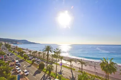 a view of a beach with palm trees and the ocean at Promenade des Anglais panoramic sea view in Nice