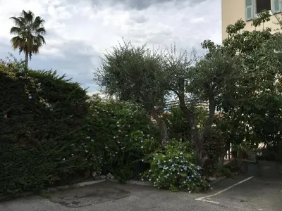 a group of trees and flowers in a parking lot at Apartment Villa Anahit in Nice