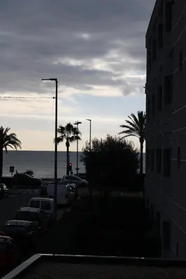 a view of a street with palm trees and the ocean at Hôtel La Villa des Oliviers in Cagnes-sur-Mer