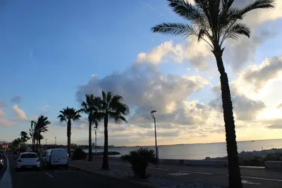 a group of palm trees on a road next to the ocean at Hôtel La Villa des Oliviers in Cagnes-sur-Mer