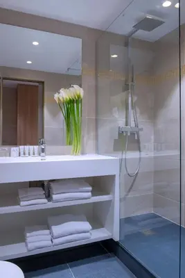 a bathroom with a shower and a vase of flowers at Hotel Beau Rivage in Nice
