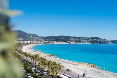 a view of a beach with palm trees and the ocean at 
