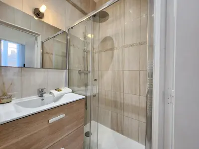 a bathroom with a sink and a shower at Promenade Appartements les Lions in Nice