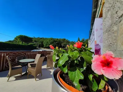 a pink flower in a pot on a balcony at Hôtel Eze Hermitage in Èze